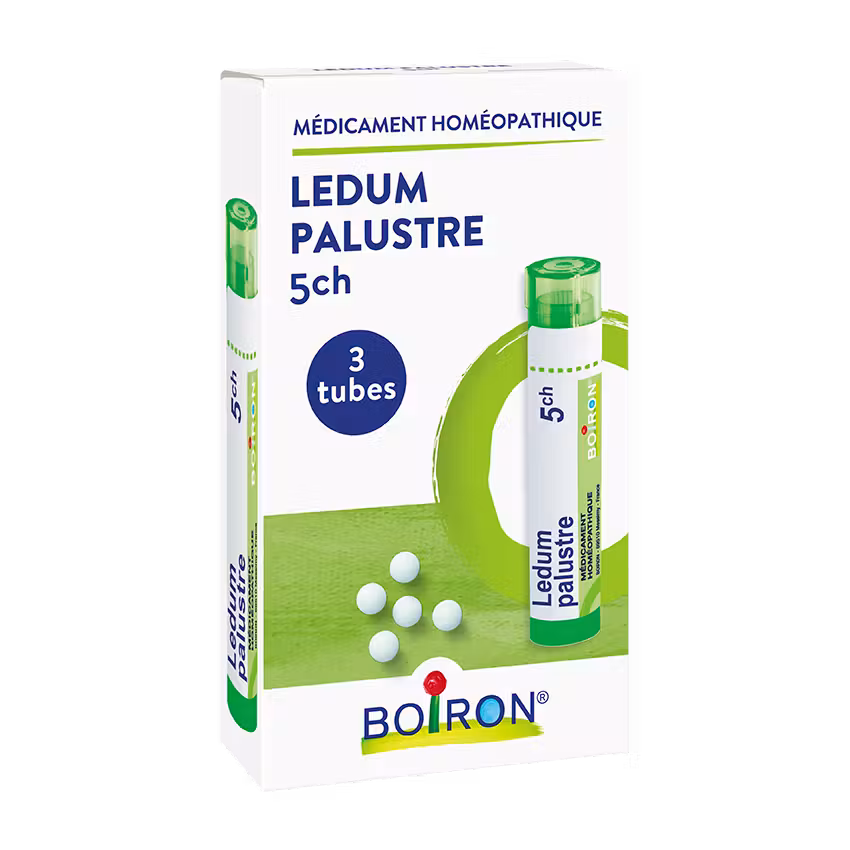 LEDUM PALUSTRE 5CH 3 TUBES BOIRON