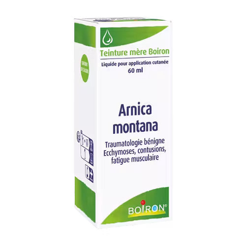 Arnica Montana Radix